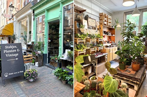 Vintage en planten bij Stek voor je Plek Vintage en planten bij Stek voor je Plek